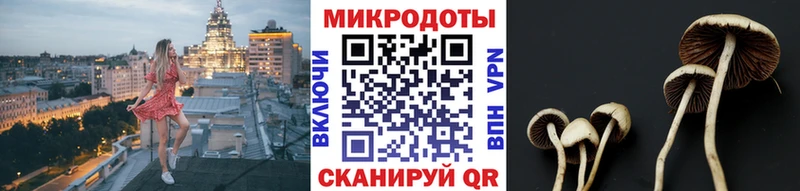 Псилоцибиновые грибы Magic Shrooms  Купить  Верхняя Салда 